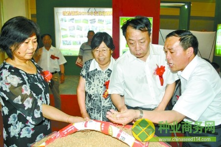 省種子管理站毛景英站長(左一)陪同省農(nóng)業(yè)廳魏蒙關(guān)副廳長(右二)一起到參展企業(yè)展臺觀看參展小麥品種。