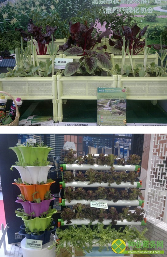 第二十屆北京種子大會(huì)首開城市農(nóng)業(yè)專題展