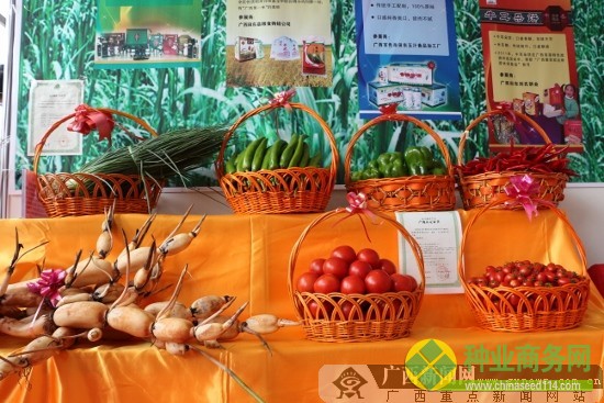 2012中國(guó)-東盟(百色)現(xiàn)代農(nóng)業(yè)展示交易會(huì)盛大開(kāi)幕