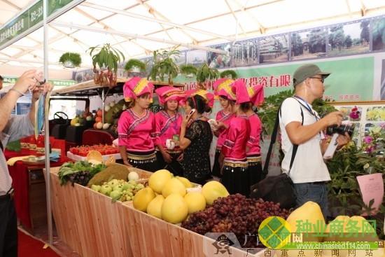 2012中國(guó)-東盟(百色)現(xiàn)代農(nóng)業(yè)展示交易會(huì)盛大開(kāi)幕