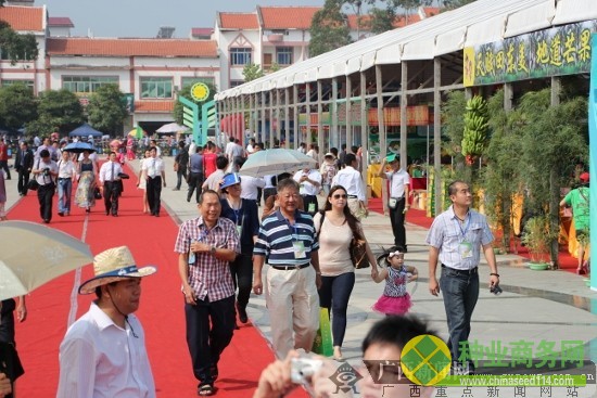 2012中國(guó)-東盟(百色)現(xiàn)代農(nóng)業(yè)展示交易會(huì)盛大開(kāi)幕