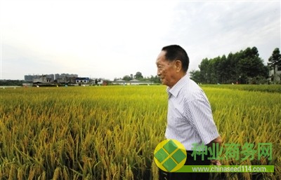 袁隆平：最擔(dān)心農(nóng)民不愿種糧