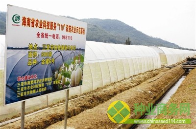 農(nóng)業(yè)科技服務(wù)&ldquo;110&rdquo;設(shè)施示范基地