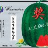 供應(yīng)大瓜96