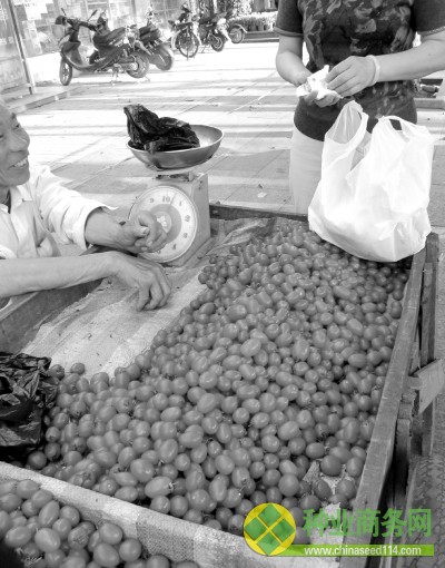 辣椒賣不出去 椒農(nóng)很&ldquo;椒&rdquo;急