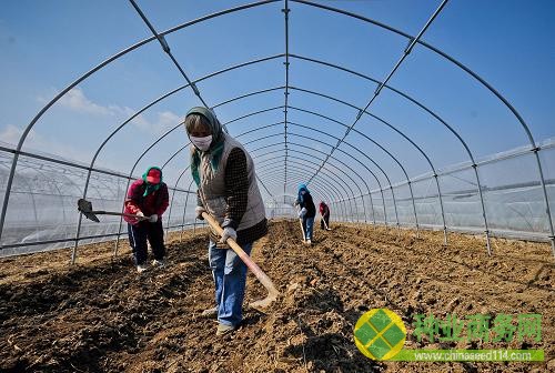 在季核亮新建的試驗(yàn)大棚中，幾位農(nóng)民在翻地（3月20日攝）。新華社記者 張超群 攝