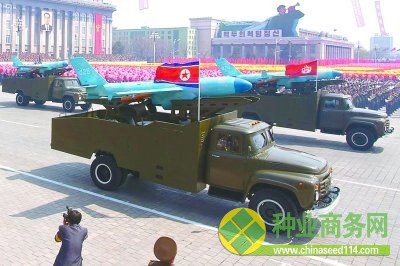 季核亮（左一）和當(dāng)?shù)剞r(nóng)民一起在試驗(yàn)大棚中為花椰菜進(jìn)行蕾期授粉（3月20日攝）。新華社記者 張超群 攝