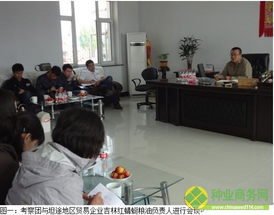 糧網(wǎng)考察二:黑吉交界玉米出苗較好 種植成本同比降低