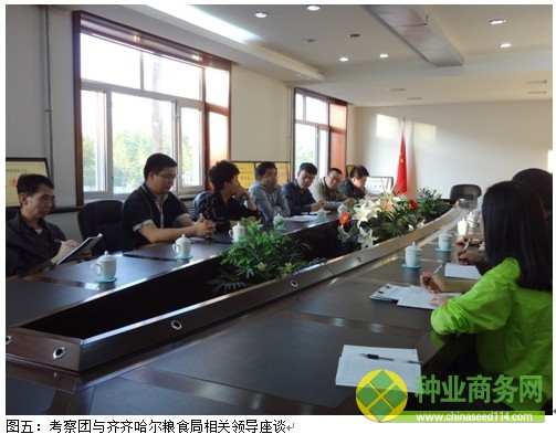 糧網(wǎng)考察二:黑吉交界玉米出苗較好 種植成本同比降低