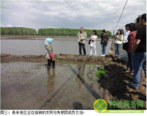 糧網(wǎng)考察二:黑吉交界玉米出苗較好 種植成本同比降低