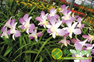 點(diǎn)擊進(jìn)入下一頁(yè)