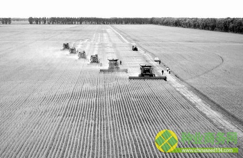 農(nóng)業(yè)部批準(zhǔn)進(jìn)口3種轉(zhuǎn)基因大豆的消息引發(fā)廣泛關(guān)注。安全性是其一，輿論爭議的背后更折射出種業(yè)競爭力的問題。如何培育出具有高產(chǎn)、優(yōu)質(zhì)、安全等優(yōu)點的作物品種，已成為世界性的育種課題。