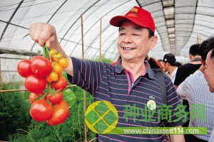 航天育種 航天育種