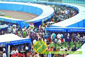 豐臺體育中心現(xiàn)貨交易區(qū)