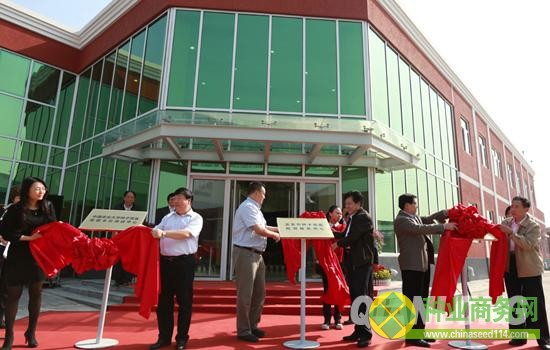 27日上午，北京市種子質(zhì)量檢測(cè)服務(wù)中心正式揭牌。圖為工作人員對(duì)種子進(jìn)行篩選。千龍網(wǎng)記者 張啟新 攝