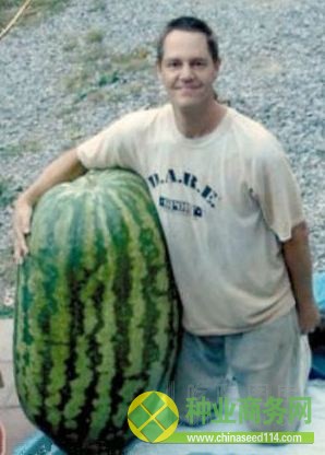 點(diǎn)擊瀏覽下一張