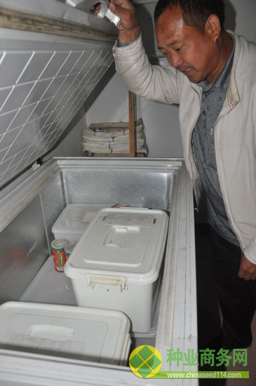 沈家的儲(chǔ)藏室里，沈昌健展示研究用的各類油菜種子，身后妻子朱春貴在整理從田里摘回的蔬菜。油菜研究是沒(méi)有收入的，吃飯全靠家里五畝口糧田和菜地。