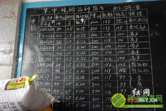 (相對(duì)去年種子價(jià)格，今年穩(wěn)中略降。)