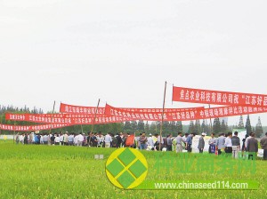 十萬農(nóng)民選出&ldquo;江蘇好品種&rdquo;