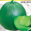 大富農(nóng)供應(yīng)綠皮甜瓜-冰翡翠二號