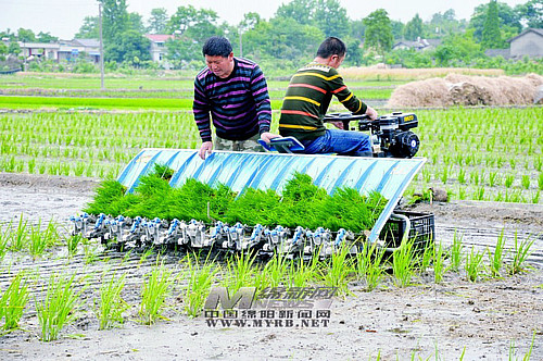 點(diǎn)擊瀏覽下一頁