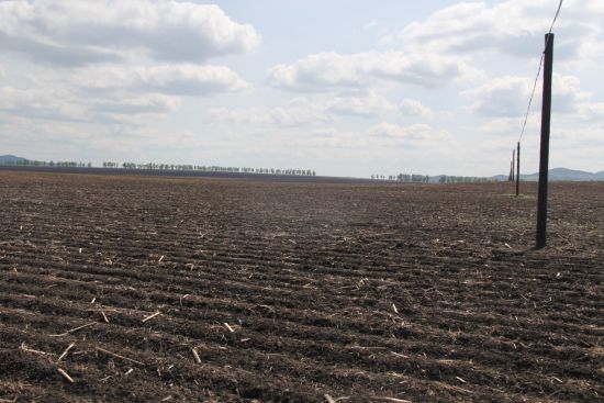 圖一：田間場景