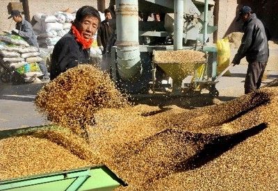 部分稻谷及大米