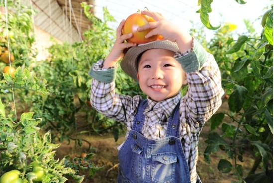 新農(nóng)人做新農(nóng)業(yè)：IT女博士的農(nóng)業(yè)情結(jié)2