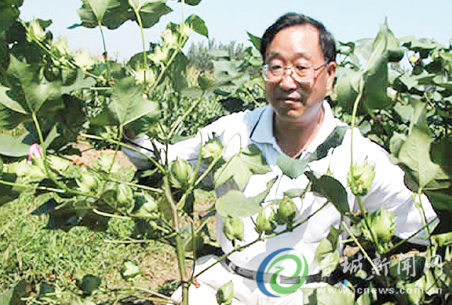 中國種業(yè)十大功勛人物揭曉 晉城籍科學(xué)家郭三堆榜上有名