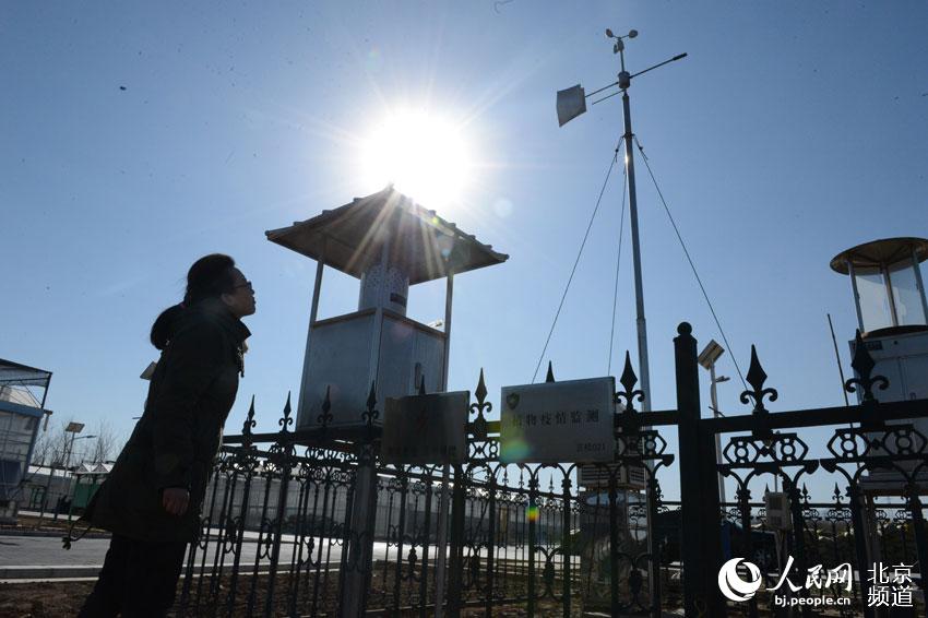 工作人員正在植物疫情監(jiān)測站測量種子們成長的大環(huán)境。