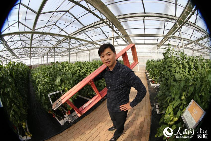 種子展示基地內(nèi)各個品種的西紅柿，展現(xiàn)了世界各地種子家族的強大。