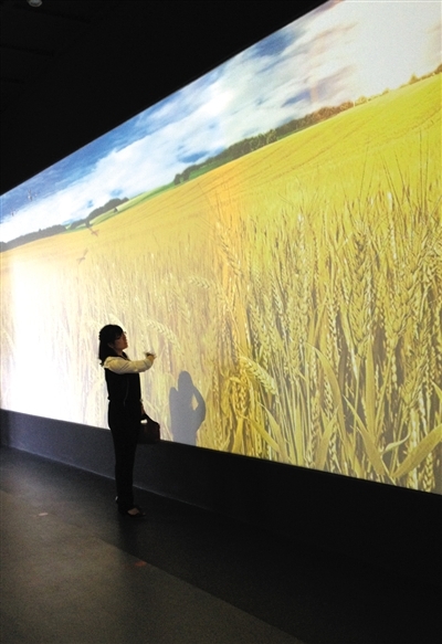 種子大會(huì)看&ldquo;風(fēng)吹麥浪&rdquo;聽&ldquo;鳥叫蟬鳴&rdquo;