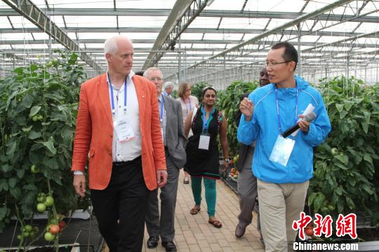 世界種子大會(huì)代表盛贊品種展示基地(組圖)