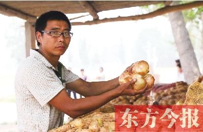 洋蔥堆在地里，當(dāng)初承諾回收的蔬菜公司總不來(lái)回收，申先生覺(jué)得上當(dāng)受騙了