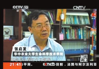 轉(zhuǎn)基因水稻抗蟲效果顯著。 Bt63轉(zhuǎn)基因抗蟲稻項(xiàng)目帶頭人張啟發(fā)接受采訪。視頻截圖