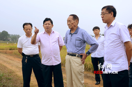 湖南希望種業(yè):科技播種希望戰(zhàn)略瞄準(zhǔn)未來