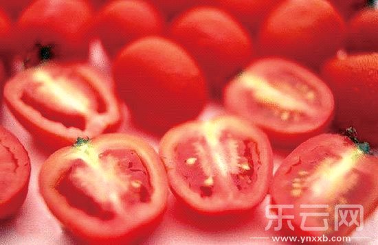 東川菜農(nóng)種出的太空茄子。