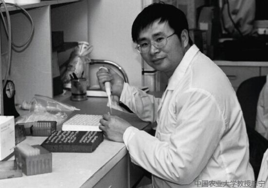 中國農(nóng)業(yè)大學(xué)教授李寧