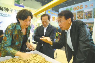 省農(nóng)業(yè)廳副廳長魏蒙關（右一）在展會上向河南省南海種子有限公司總經(jīng)理田應雪（左一）了解該公司經(jīng)營的花生新品種。