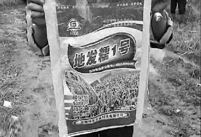 懷遠(yuǎn)縣種子市場(chǎng)亂象驚人