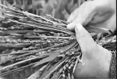 懷遠(yuǎn)縣種子市場(chǎng)亂象驚人