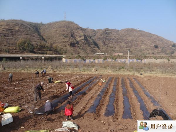 圖片其版權(quán)均歸原作者所有，未經(jīng)許可嚴(yán)禁轉(zhuǎn)載或建立鏡像，如需轉(zhuǎn)載，請與作者或本站聯(lián)系