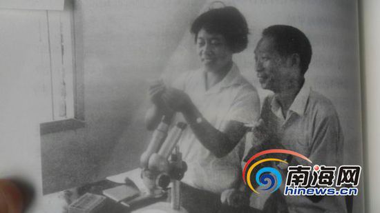 袁隆平和妻子鄧則一起搞科研。(南海網(wǎng)記者孫令正翻拍)
