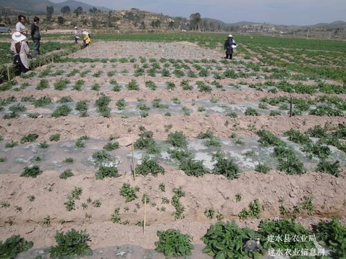 圖片其版權(quán)均歸原作者所有，未經(jīng)許可嚴禁轉(zhuǎn)載或建立鏡像，如需轉(zhuǎn)載，請與作者或本站聯(lián)系