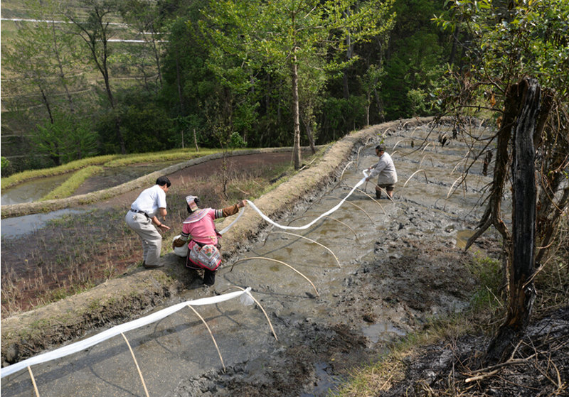 圖片其版權(quán)均歸原作者所有，未經(jīng)許可嚴(yán)禁轉(zhuǎn)載或建立鏡像，如需轉(zhuǎn)載，請與作者或本站聯(lián)系