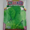 供應批發(fā)緑帥大葉木耳菜 油綠大葉木耳菜種子抗病力強 產(chǎn)量高