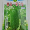 供應批發(fā)夏冠一號節(jié)瓜耐熱性強瓜型美觀結(jié)瓜容易穩(wěn)產(chǎn)高產(chǎn)節(jié)瓜種子