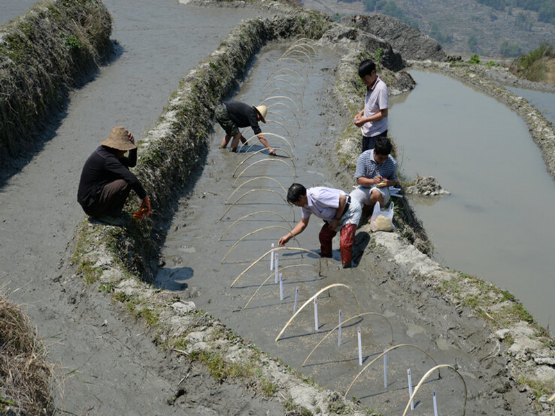 圖片其版權(quán)均歸原作者所有，未經(jīng)許可嚴禁轉(zhuǎn)載或建立鏡像，如需轉(zhuǎn)載，請與作者或本站聯(lián)系