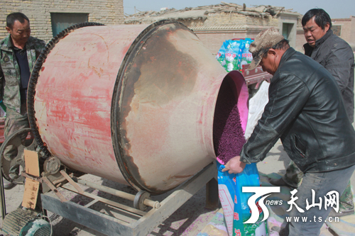 天山網(wǎng)訊 （通訊員王玉霞攝影報(bào)道）3月23日，新疆生產(chǎn)建設(shè)兵團(tuán)第二師三十團(tuán)四連承包戶(hù)在技術(shù)人員指導(dǎo)下進(jìn)行棉種包衣。