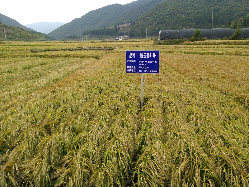 圖片其版權(quán)均歸原作者所有，未經(jīng)許可嚴(yán)禁轉(zhuǎn)載或建立鏡像，如需轉(zhuǎn)載，請與作者或本站聯(lián)系